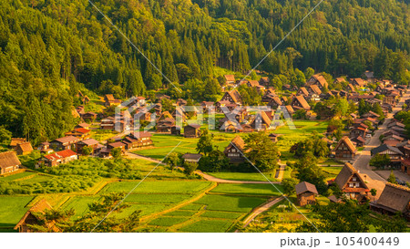 夏の白川郷(夕景) 夏の白川郷(夕景) 105400449