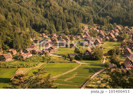 夏の白川郷(夕景) 夏の白川郷(夕景) 105400453