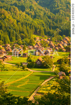 夏の白川郷(夕景) 夏の白川郷(夕景) 105400470