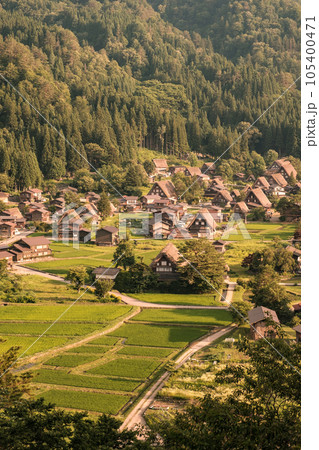 夏の白川郷(夕景) 夏の白川郷(夕景) 105400471