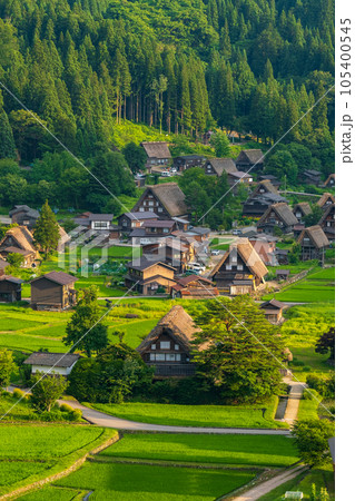夏の白川郷(夕景) 夏の白川郷(夕景) 105400545