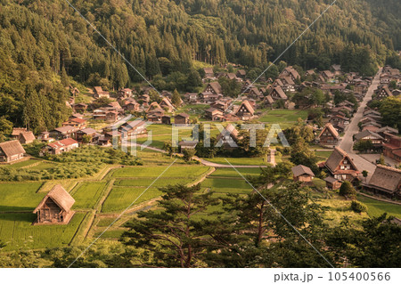 夏の白川郷(夕景) 夏の白川郷(夕景) 105400566