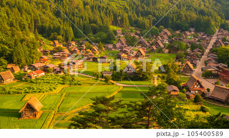 夏の白川郷(夕景) 夏の白川郷(夕景) 105400589