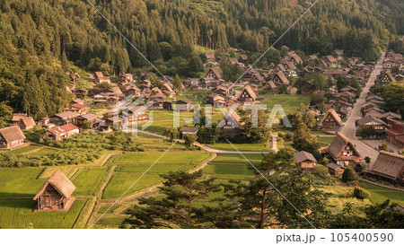 夏の白川郷(夕景) 夏の白川郷(夕景) 105400590