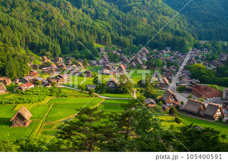夏の白川郷(夕景) 夏の白川郷(夕景) 105400591
