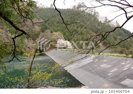 小篠溜池の堤体とダム湖 105400704
