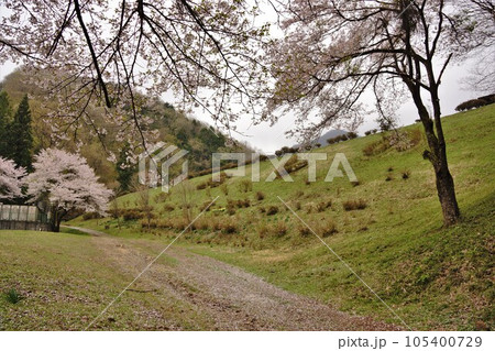 小篠溜池の堤体 105400729