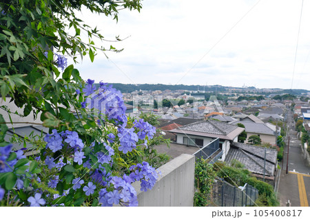 街歩き 105400817
