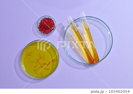 Top view of stigmas saffron on petri dish and yellow essence on test tubes decorated on purple background. Scene of natural ingredients with many uses for beauty 105402054