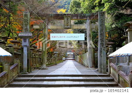 金刀比羅宮参道（香川県琴平町） 105402141