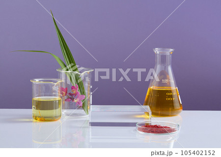 Square-shaped podium with beakers and flask of fluid, petri dish of saffron surrounded. Saffron contains an impressive variety of plant compounds 105402152