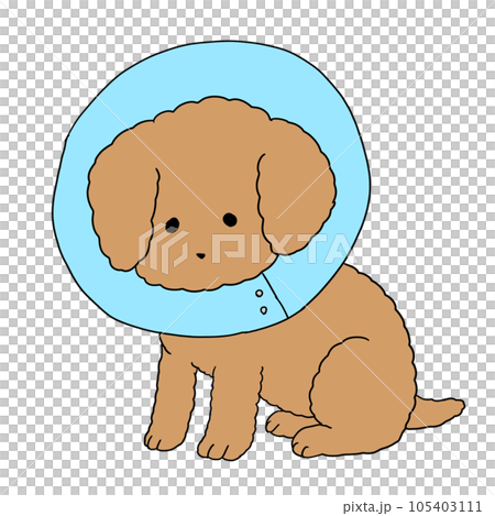 dog with collar 105403111
