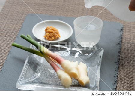 葉生姜   日本酒注ぐ（生姜ピント） 105403746
