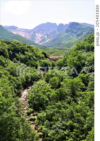 北海道の雄、十勝岳を望む十勝岳温泉の湯元凌雲閣から眺める十勝岳の峰々 105403880