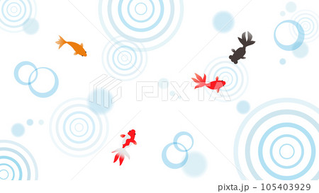 金魚と水紋02 金魚と水紋02 105403929