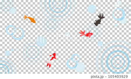 金魚と水紋02 金魚と水紋02 105403929