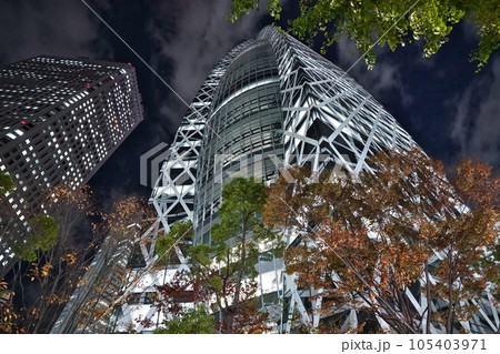 黄葉に映える新宿高層ビル夜景の迫力 黄葉に映える新宿高層ビル夜景の迫力 105403971