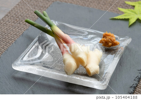 葉生姜 葉生姜 105404188