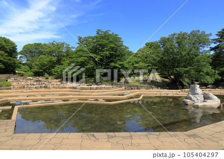 府中市郷土の森博物館　水遊びの池（6月） 105404297