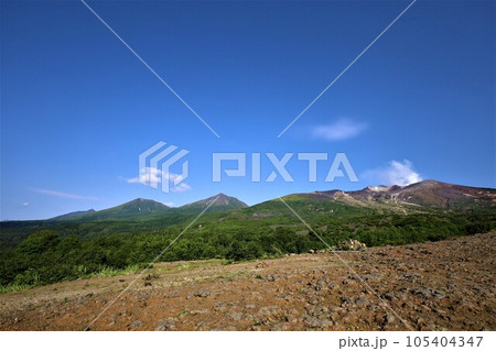 北海道の雄、大雪山国立公園の十勝岳、その山麓にある森林公園をとハイキング、高山植物に癒される。 北海道の雄、大雪山国立公園の十勝岳、その山麓にある森林公園をとハイキング、高山植物に癒される。 105404347