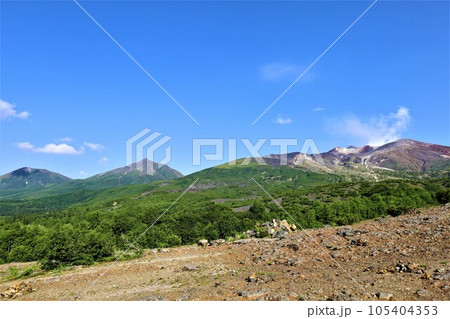 北海道の雄、大雪山国立公園の十勝岳、その山麓にある森林公園をとハイキング、高山植物に癒される。 北海道の雄、大雪山国立公園の十勝岳、その山麓にある森林公園をとハイキング、高山植物に癒される。 105404353