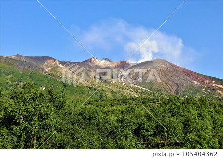 北海道の雄、大雪山国立公園の十勝岳、その山麓にある森林公園をとハイキング、高山植物に癒される。 北海道の雄、大雪山国立公園の十勝岳、その山麓にある森林公園をとハイキング、高山植物に癒される。 105404362