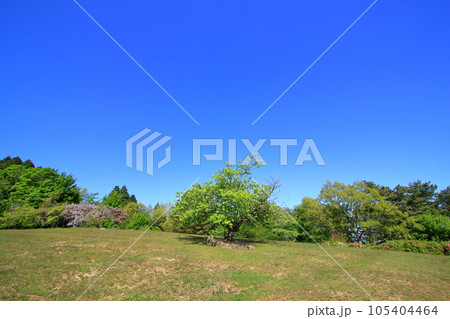 瀬戸内海国立公園の野呂山 瀬戸内海国立公園の野呂山 105404464