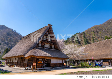 富山県五箇山 桜咲く春の菅沼合掌造り集落 富山県五箇山 桜咲く春の菅沼合掌造り集落 105404643