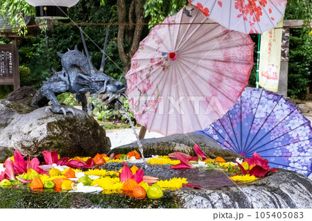 手水舎と花【神奈川県秦野市出雲大社相模分祠】 105405083