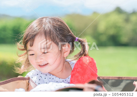 公園でキャリーカートに乗って遊ぶ笑顔の女の子（子供・幼児・少女） 105405312