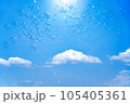 日光に照らされて舞うシャボン玉 105405361
