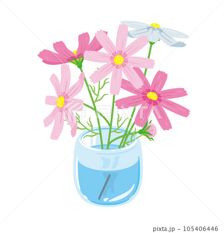 花瓶に入ったコスモス 105406446