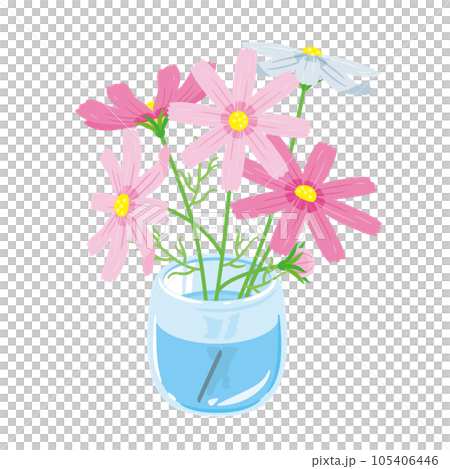 花瓶に入ったコスモス 105406446