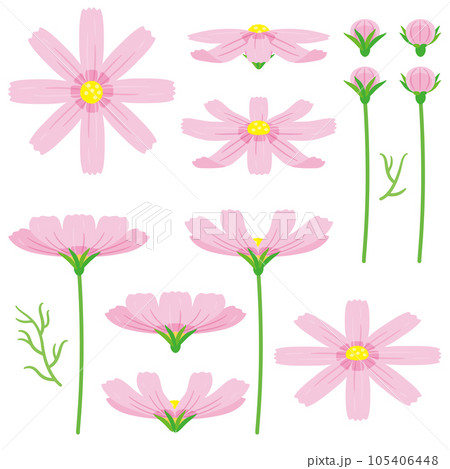 ピンクのコスモスセット1 105406448