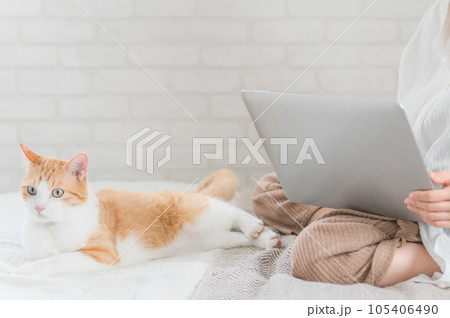 家で猫と一緒にテレワーク・リモートワークする女性 家で猫と一緒にテレワーク・リモートワークする女性 105406490