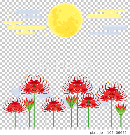 滿月和孤挺花2 滿月和孤挺花2 105406683