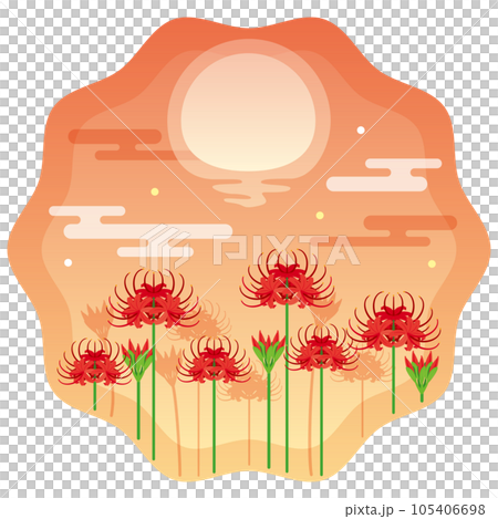 Sunset and cluster amaryllis 2 105406698