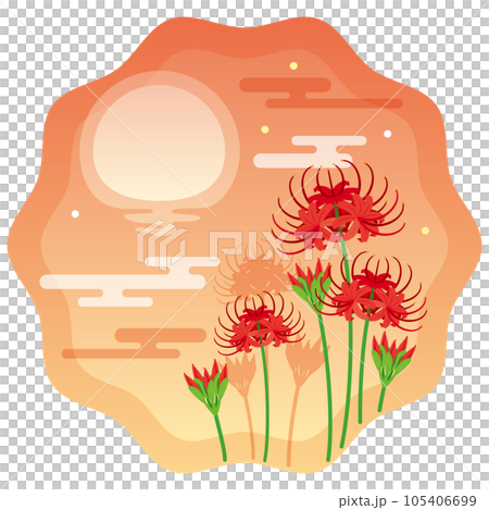 Sunset and cluster amaryllis 1 Sunset and cluster amaryllis 1 105406699