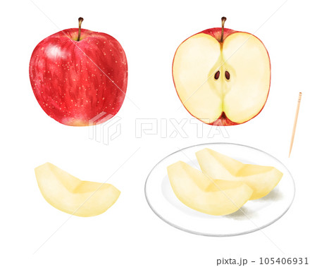 水彩で描いた赤いりんご(丸ごと・半分・くし切り)セット 水彩で描いた赤いりんご(丸ごと・半分・くし切り)セット 105406931