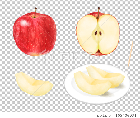 水彩で描いた赤いりんご(丸ごと・半分・くし切り)セット 水彩で描いた赤いりんご(丸ごと・半分・くし切り)セット 105406931