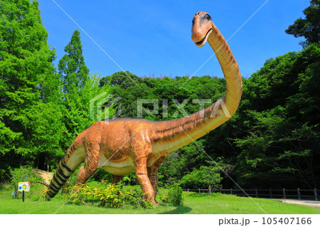 【岡山県】恐竜公園のディプロドクス(カブトガニ博物館) 【岡山県】恐竜公園のディプロドクス(カブトガニ博物館) 105407166