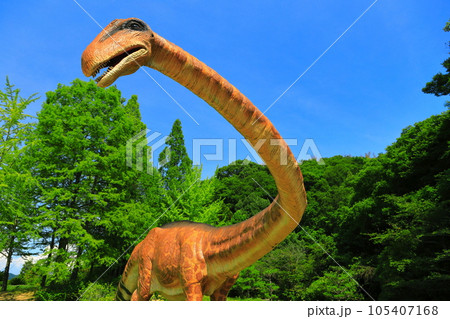 【岡山県】恐竜公園のディプロドクス(カブトガニ博物館) 【岡山県】恐竜公園のディプロドクス(カブトガニ博物館) 105407168