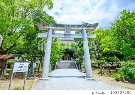 初夏の香椎宮　福岡県東区 105407200