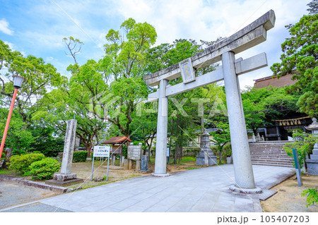 初夏の香椎宮 福岡県東区 初夏の香椎宮 福岡県東区 105407203