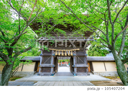 初夏の香椎宮　福岡県東区 105407204