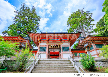 初夏の香椎宮 福岡県東区 初夏の香椎宮 福岡県東区 105407205