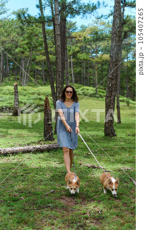 Young woman walking with her corgi dogs in the forest 105407265