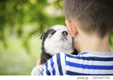 A little boy in a striped T-shirt hugging husky puppy outdoors. 105407705