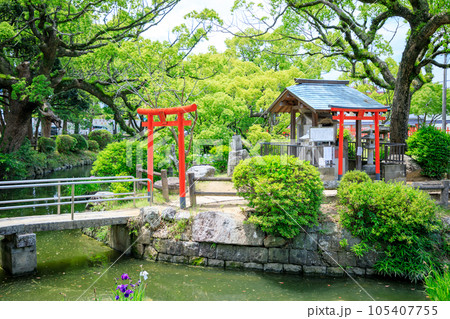 初夏の香椎宮 弁財天社 福岡県東区 初夏の香椎宮 弁財天社 福岡県東区 105407755