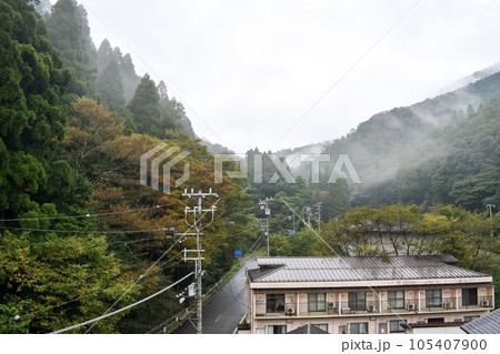 城崎温泉の裏山_朝霧のかかる裏山の日常 城崎温泉の裏山_朝霧のかかる裏山の日常 105407900